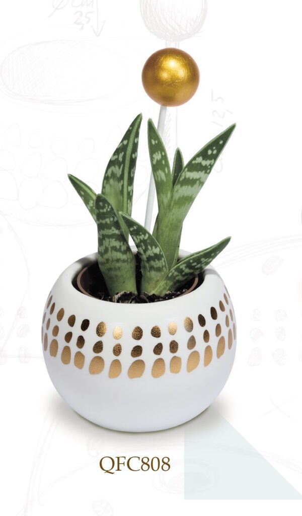 Bomboniere Solidali Quadrifoglio - Vaso porta-piante in Porcellana Bianco e Oro